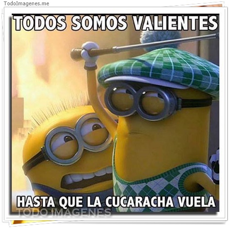 imagen de 3790-20160302-033945