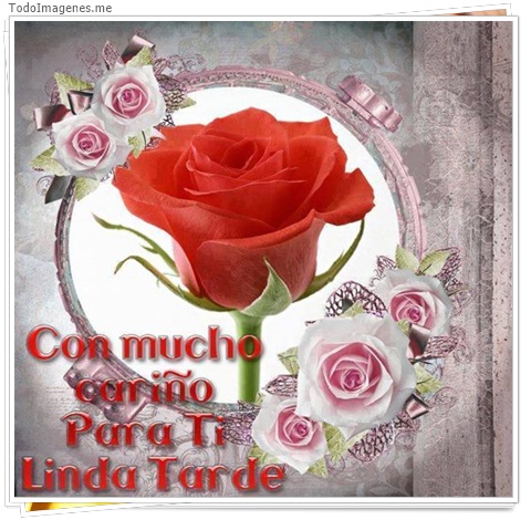 imagen de 6772-20160302-034200
