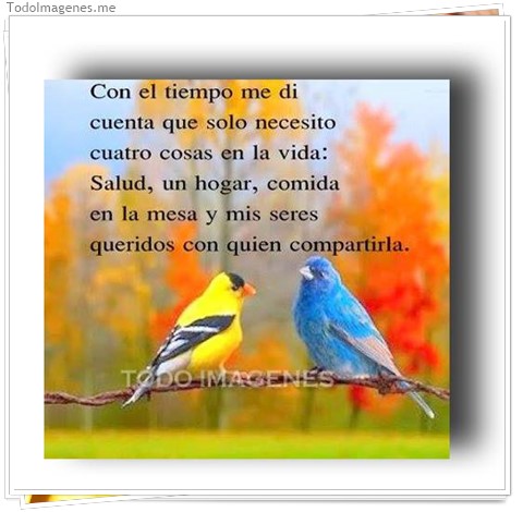 imagen de 096-20160829-192303