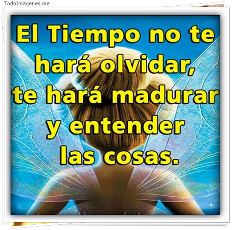 imagen de 2202-20160302-033831