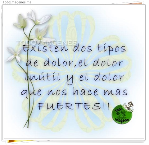 imagen de 5581-20160302-034104