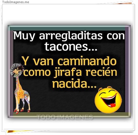 imagen de 8046-20160302-034313