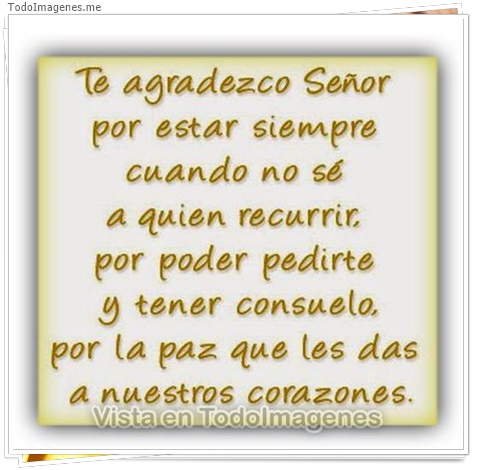 imagen de 11231-20160302-034656