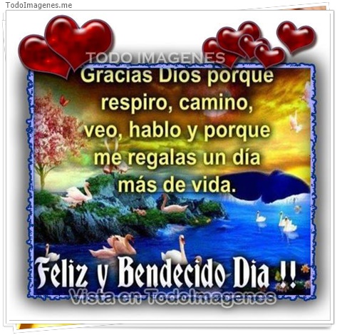 imagen de 11159-20160302-034652
