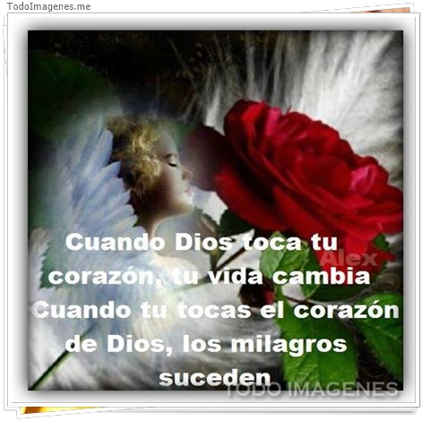imagen de 8834-20160302-034407
