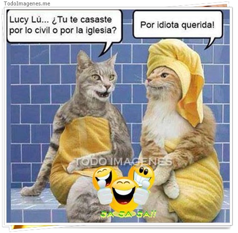 imagen de 3845-20160302-033947