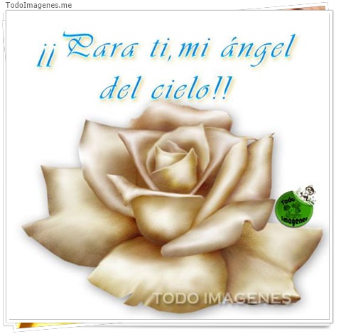 imagen de 5228-20160302-034049