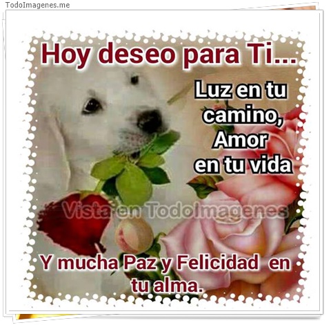 imagen de 11058-20160302-034645