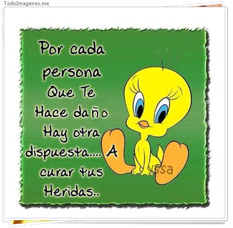 imagen de 8532-20160302-034348