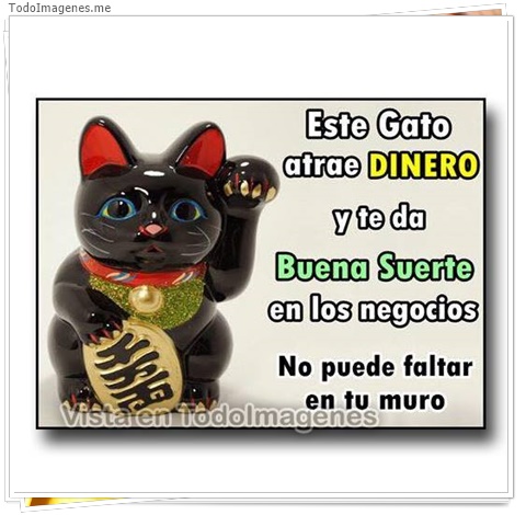 imagen de 9952-20160302-034524
