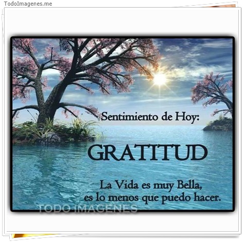 imagen de 7511-20160302-034240