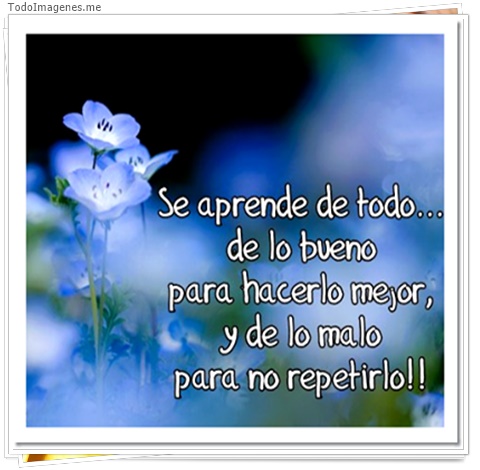 imagen de 4944-20160302-034035