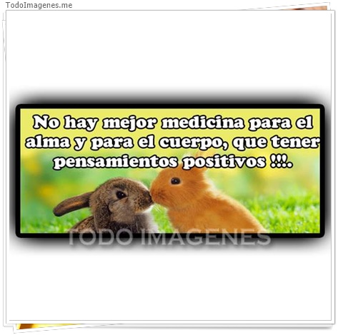 imagen de 2914-20160302-033905
