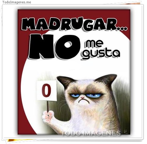 imagen de 9171-20160302-034428