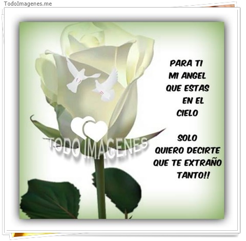 imagen de 2331-20160302-033837