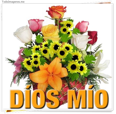 imagen de 11269-20160302-034659