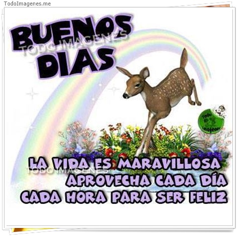 imagen de 6410-20160302-034143