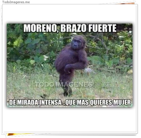 imagen de 7634-20160302-034247