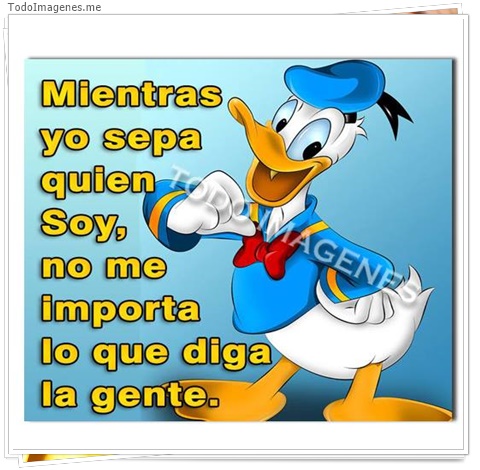 imagen de 2619-20160302-033849
