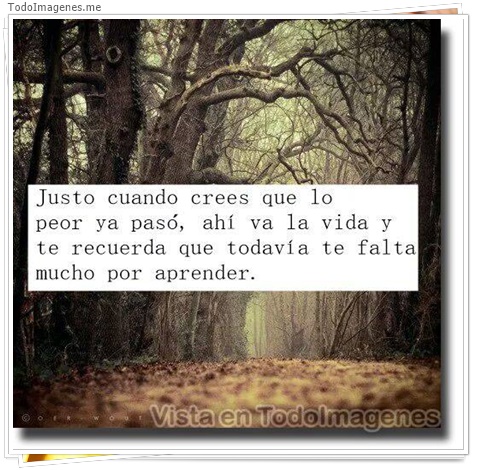 imagen de 10568-20160302-034610