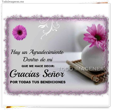 imagen de 3684-20160302-033940