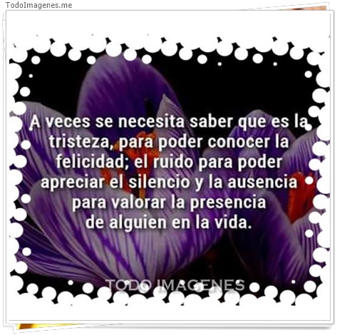 imagen de 7040-20160302-034214