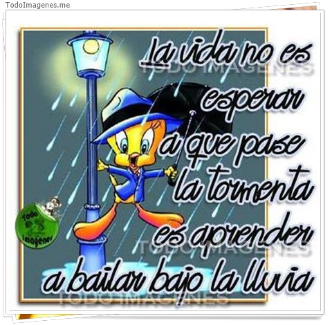 imagen de 5564-20160302-034103