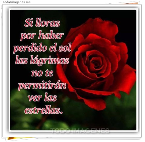imagen de 4413-20160302-034012