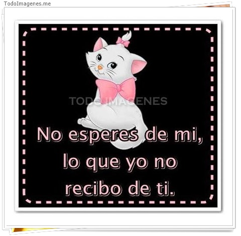imagen de 8051-20160302-034314