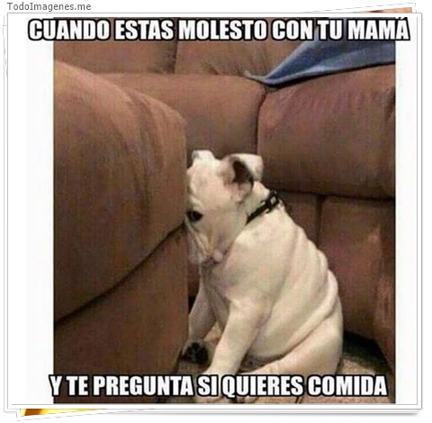 imagen de 3628-20160302-033938