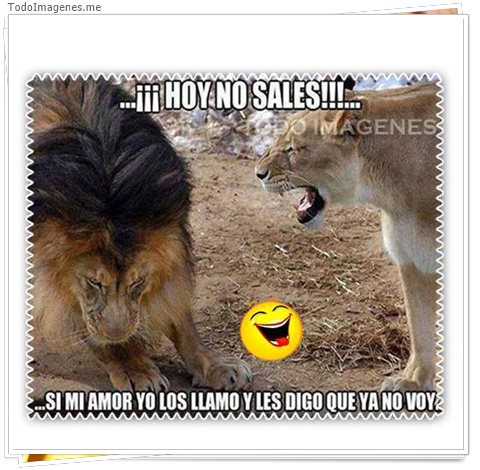 imagen de 5198-20160302-034047