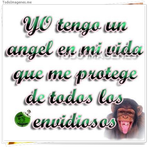 imagen de 5950-20160302-034121