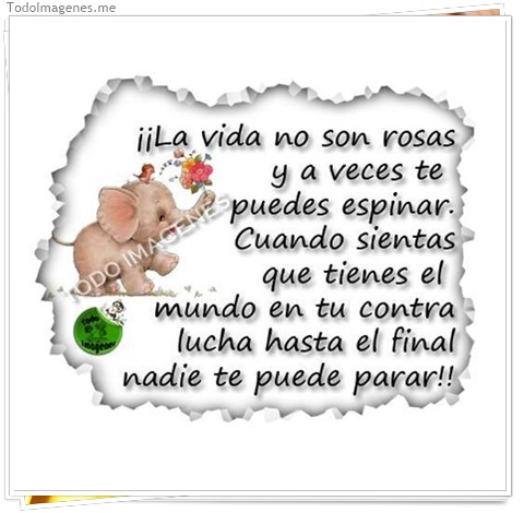 imagen de 004-20160810-120248