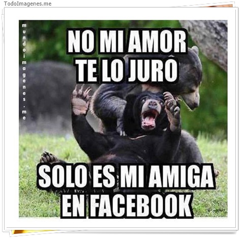 imagen de 10848-20160302-034631