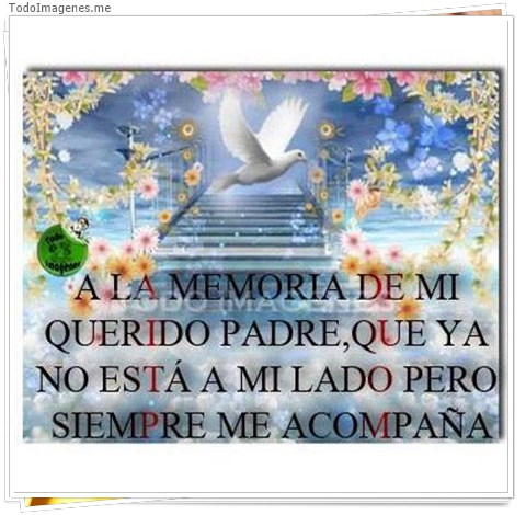 imagen de 7320-20160302-034228