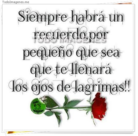 imagen de 8497-20160302-034345