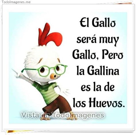 imagen de El Gallo sera muy Gallo, pero la Gallina es la de los Huevos