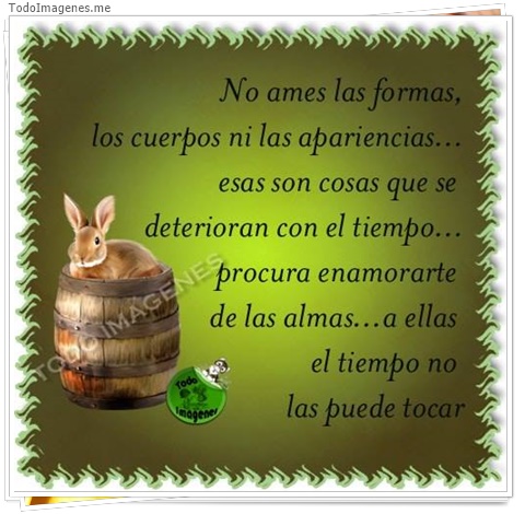 imagen de 2731-20160302-033854