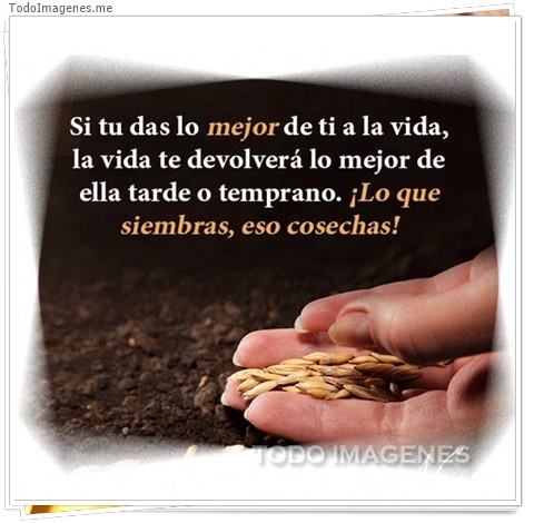 imagen de 5468-20160302-034100