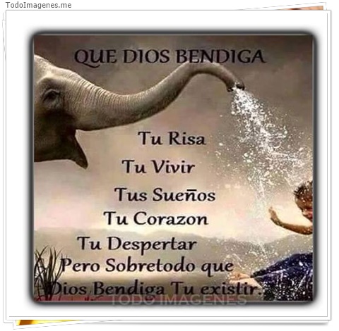 imagen de 5902-20160302-034119