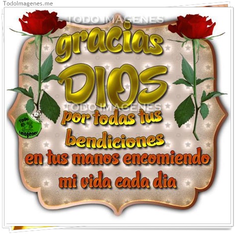 imagen de 297-20160810-120300
