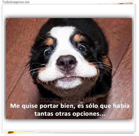 imagen de 4433-20160302-034012