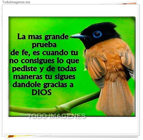 imagen de 7971-20160302-034308