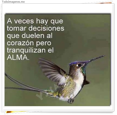 imagen de 9029-20160302-034419