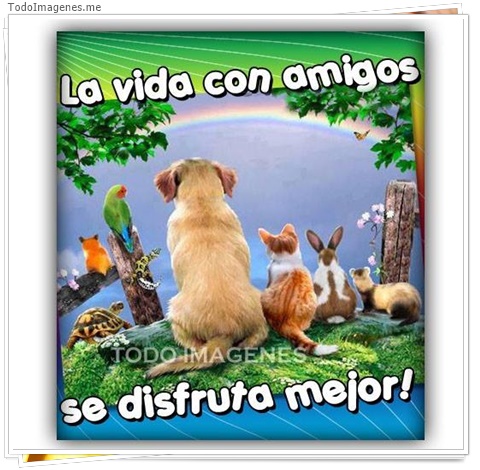 imagen de 8610-20160302-034353