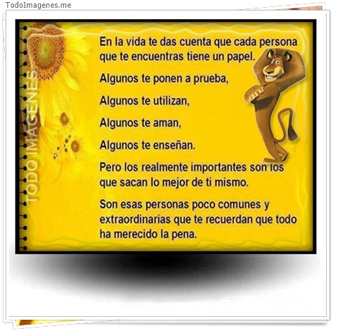 imagen de 5138-20160302-034045