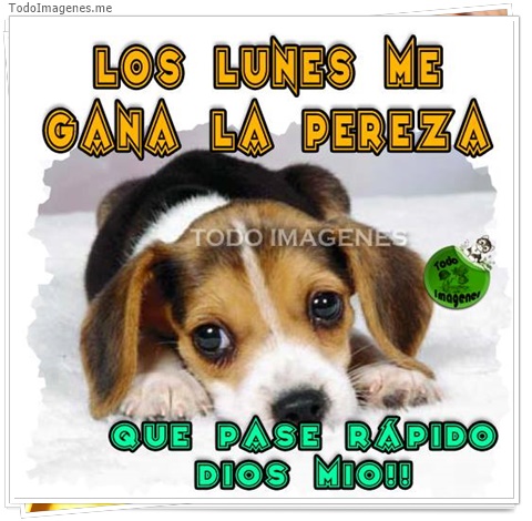 imagen de 4052-20160302-033956