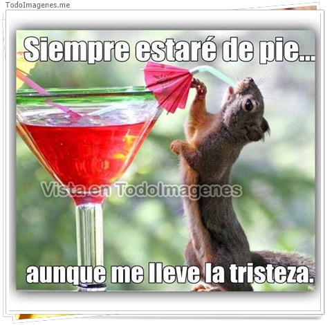 imagen de 11436-20160302-034710