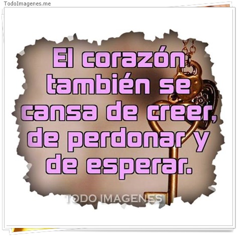 imagen de 8728-20160302-034400