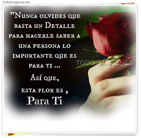 imagen de 3596-20160302-033936
